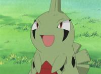 口袋妖怪：最后和智爷分开的宝可梦，全进化能否夺冠？