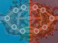 精灵宝可梦：宝可梦大集结来袭，详细解读国内第一款正版游戏