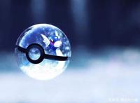 精灵宝可梦——关都快龙家族