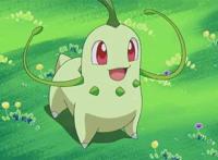 精灵宝可梦——城都御三家