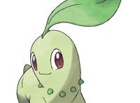 精灵宝可梦——城都御三家