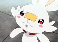 宝可梦旅途：第八代御三家尽归小豪，你为小智鸣不平吗？