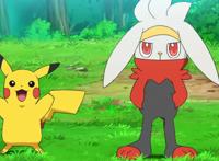 宝可梦旅途：第八代御三家尽归小豪，你为小智鸣不平吗？