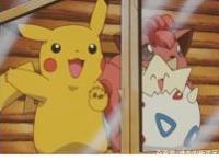 精灵宝可梦:卡哇伊神奇宝贝来袭，你最喜欢哪个类型的卡哇伊