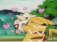 精灵宝可梦:卡哇伊神奇宝贝来袭，你最喜欢哪个类型的卡哇伊