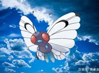 神奇宝贝：小智充当代练，将这些宝可梦练到无敌，却又免费送人