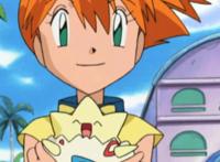 《精灵宝可梦》人物大集合及简介