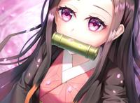 等你来撩！祢豆子精美壁纸放送