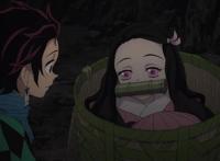 鬼灭之刃：粘人的祢豆子太可爱，那么挑剔的愈史郎都承认她是美女