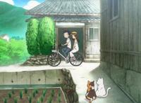 甜蜜小日常《擅长捉弄的高木同学》，十年后的发展却出人意料