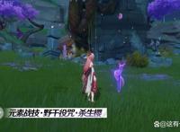 原神：八重神子培养攻略！首位5星雷系副C，但不适合平民玩家