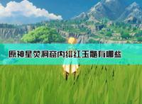 《原神》星荧洞窟内绯红玉髓位置图