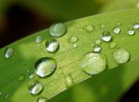 原神：解读官方甘雨简介——进来涨知识