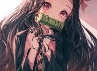 鬼灭之刃：祢豆子(图集)