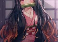 鬼灭之刃：祢豆子(图集)