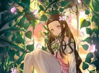 鬼灭之刃：祢豆子(图集)