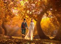 《白蛇缘起》：陪伴是最长情的告白，确实让人羡慕