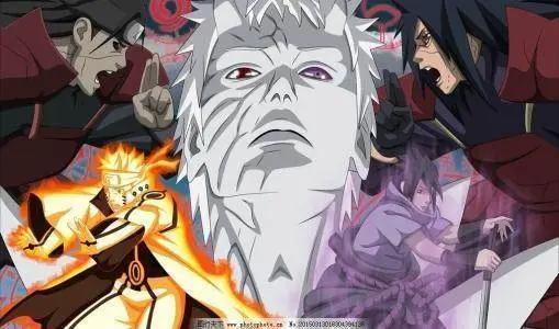 NARUTO为什么翻译成火影忍者？这背后的联系让人赞叹