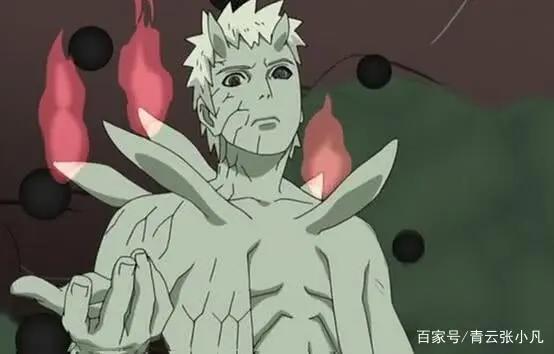 火影最权威排名TOP20