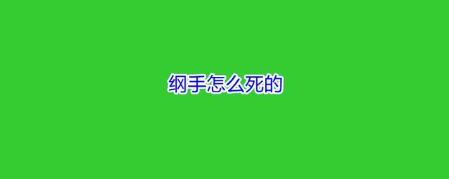 纲手怎么死的？纲手为什么不当火影了？