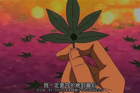 世人皆知自来也喜欢纲手，难道真的是因为一见钟情？原因让人羡慕