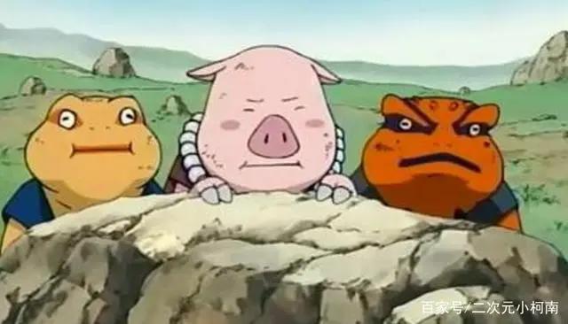 还记得纲手的宠物小猪豚豚吗？它没被纲手吃掉，也已经有崽了