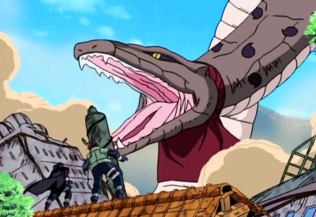 实力堪比上忍,足以决定战斗胜负,它们可以为纲手的影级地位正名