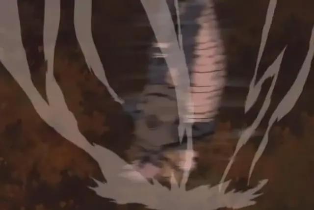 火影：你没在意的忍术，纲手会多重影分身，卡卡西偷学“表莲华”