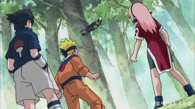 「火影忍者」第十集到十二集（一周时间大幅提升下忍实力的方法）