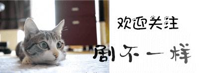 火影忍者之人物篇木叶丸身披三代火影孙子的光环却被鸣人给揍了