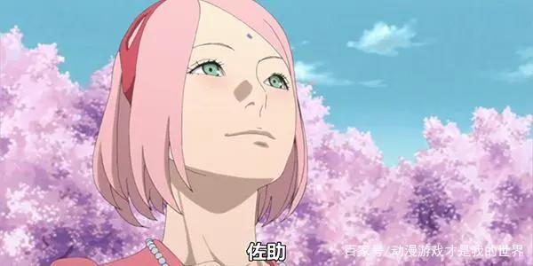 喜欢火影的女生为什么大多喜欢小樱而讨厌雏田呢？