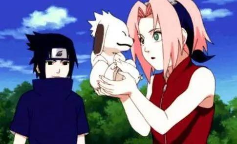 《火影忍者》中春野樱到底是不是绿茶婊？网友：比不上雏田