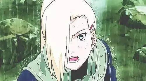 火影忍者生日特辑｜一朵秋天怒放的大波斯——山中井野