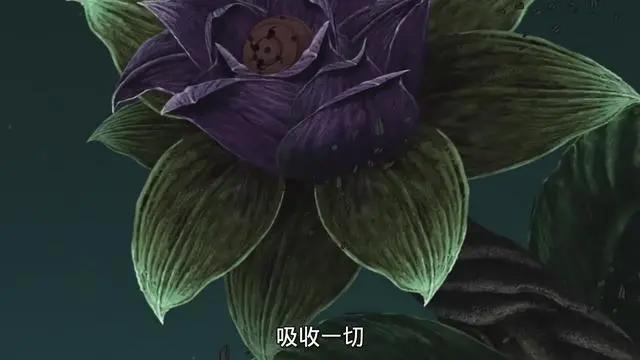 火影忍者：辉夜不一定是反派，蛤蟆仙人拯救的也不是人类