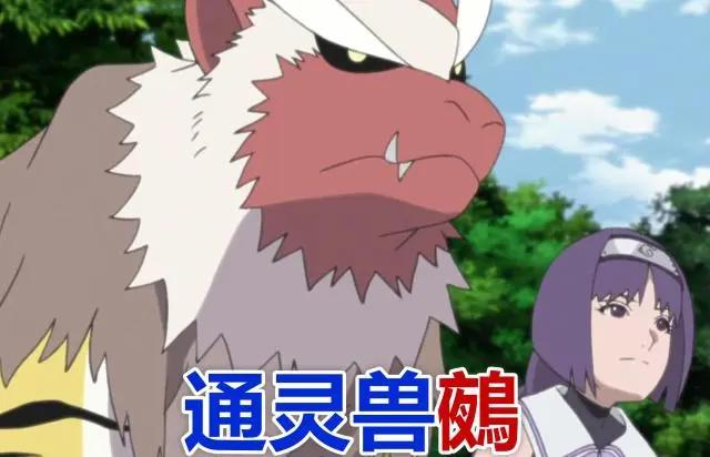 博人传：你们喜欢的花火来了网友：我注意到她的衣服了