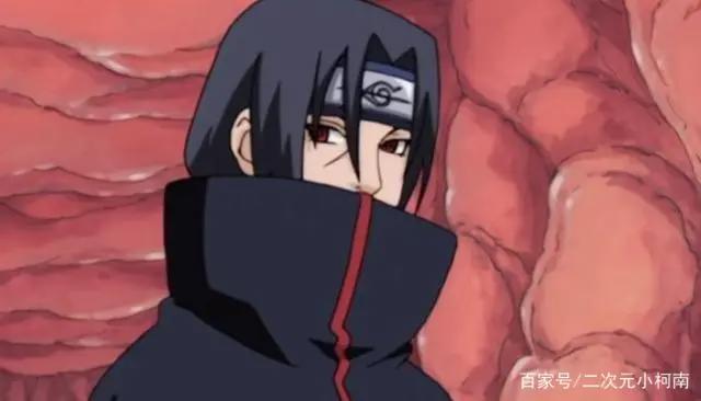 鼬到底得了什么病？为什么都在说鼬绝症复发而亡？答案显而易见