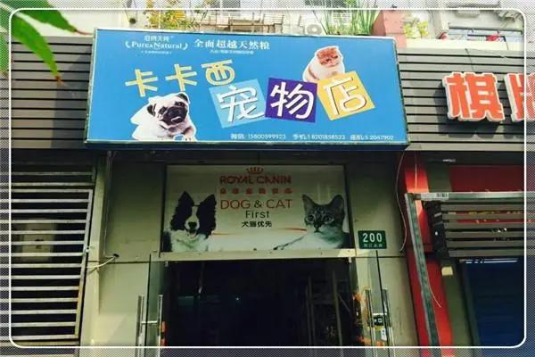 博人传卡卡西极少登场，原因已被网友挖出，实在是太忙了