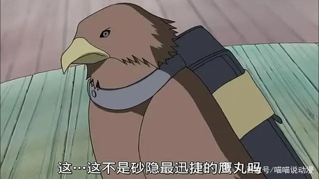 火影：盘点名字里有“丸”的九位忍者，最后那位号称砂隐村最快