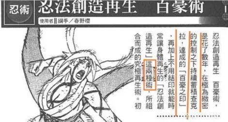 火影忍者：关于小樱的几点重要设定，争议很大，却也无可厚非