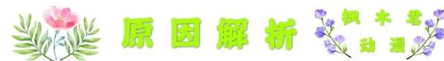 《火影忍者》：为什么“疾风传”与“博人传”口碑差别如此之大？