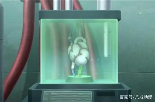 博人传：空夺取博士心脏进化为半人类，大野木为赎罪与空同归于尽