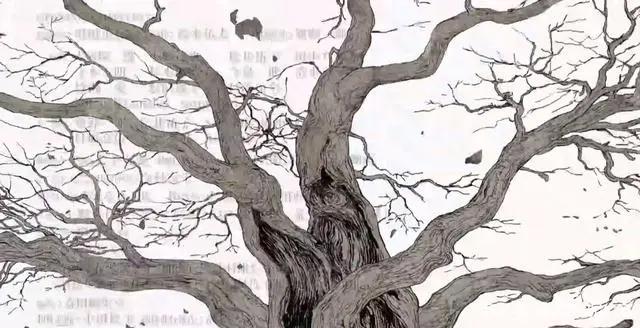 博人传新ED鸣人祖孙三代登场,玖辛奈只露个肚子,水门头发错了?