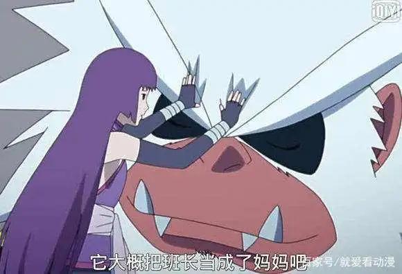 笕堇这个温柔可爱的女孩子，非常像当初的雏田，很可能成为太子妃