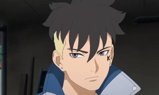 鸣人收养川木，壳组织不是主要原因，博人也知情
