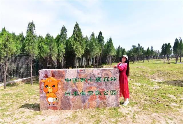 河南亲子游目的地推荐，和奈良小鹿拥抱，糖果巷一秒进入童话王国