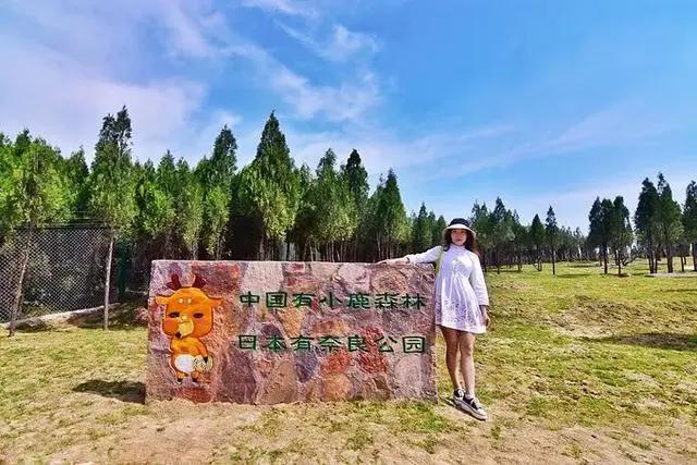和奈良小鹿亲密接触，不用去日本，郑州伏羲山云上牧场有你好玩！