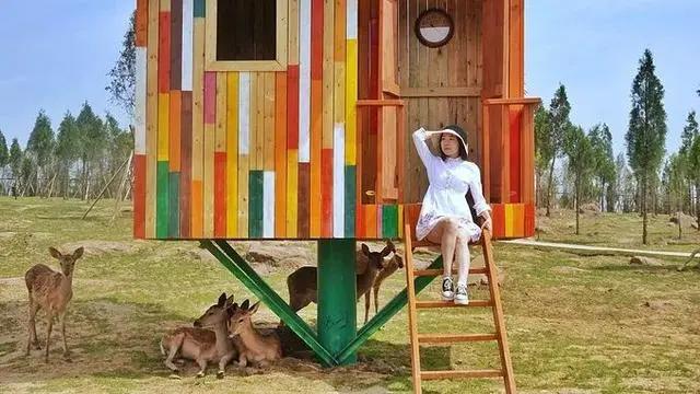 和奈良小鹿亲密接触，不用去日本，郑州伏羲山云上牧场有你好玩！