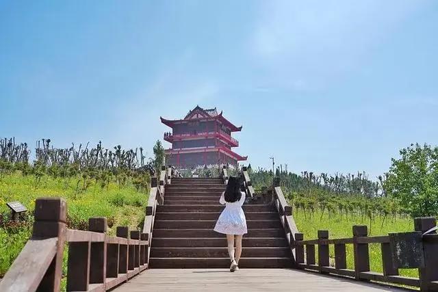 和奈良小鹿亲密接触，不用去日本，郑州伏羲山云上牧场有你好玩！