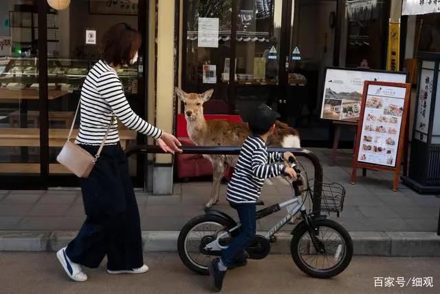 日本疫情：东京奥运会面临延期奈良小鹿到处觅食