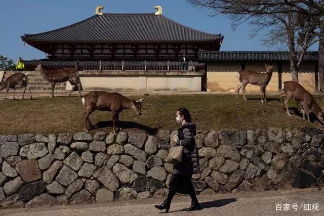 日本疫情：东京奥运会面临延期奈良小鹿到处觅食